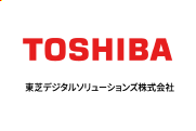 logo_company_TDSL