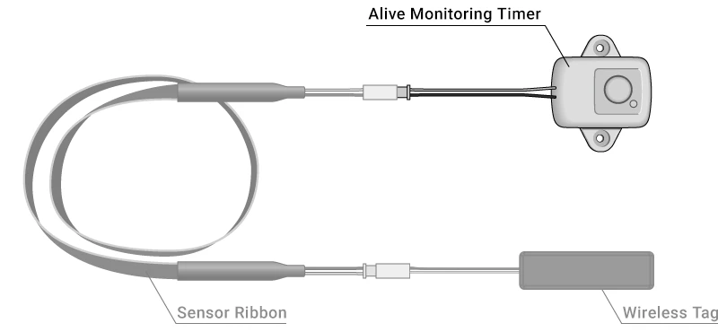 Alive Monitoring Timer