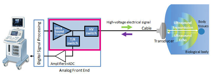 Figure 1 Ultrasonic Diagnostic Equipment (image)