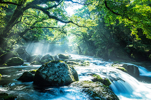 CLEAN-Boost® IoT 環境エネルギー 渓谷